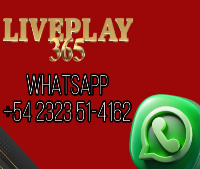 liveplay365 whatsapp